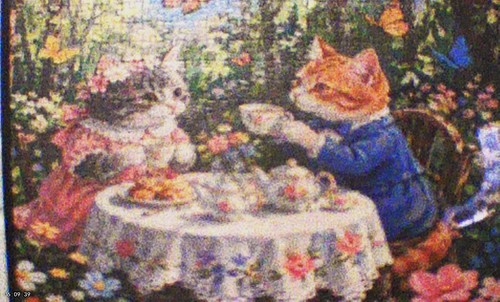 Finished framed dress cats - up,
